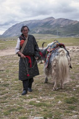 DAMXUNG TIBET, Çin - AĞUSTOS, 19 2018: Tibet hacısı ve renkli ve etnik eyerli bir öküz Damxung, Lhasa, Tibet, Çin 'deki Tanglha Dağları' nın doğusundaki bir manzara platformunda.