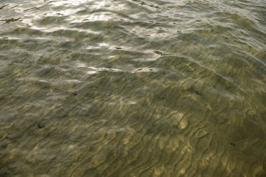 Sand beach. Calm shore. Tranquil and sunny day on vacation. Sandy texture. Pattern. Natural surface. Aqua. Reflection. Deep water. Light. Texture. Pure