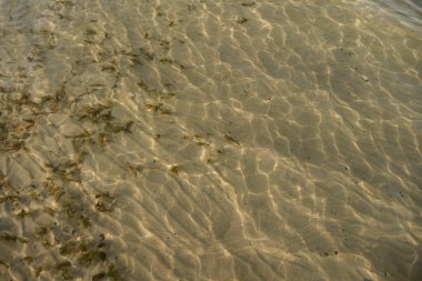 Sand beach. Calm shore. Tranquil and sunny day on vacation. Sandy texture. Pattern. Natural surface. Aqua. Reflection. Deep water. Light. Texture. Pure