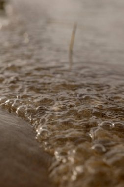 Sand beach, evening lake. Defocus