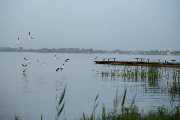 Svitiaz Lake, Shatsk National Natural Park, Volyn region, Ukraine