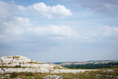 Kimyasal bitki atıklarından oluşan fosfat dağı.. 