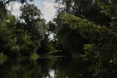 Avrupa, yeşillik ve vahşi doğa. Yansıma