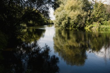 Avrupa, yeşillik ve vahşi doğa. Yansıma