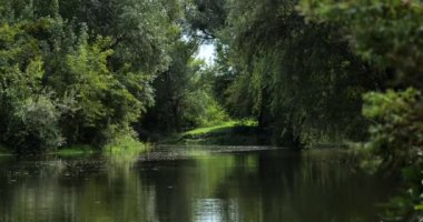 Ormandaki doğal nehir akıntısı. Vahşi doğanın güzel manzaraları, inanılmaz sulu yeşil renkli orman manzaraları.