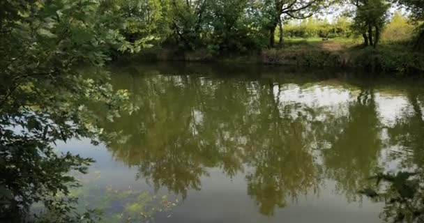 Corriente Natural Del Río Bosque Hermosas Vistas Naturaleza Salvaje Paisajes — Vídeo de stock