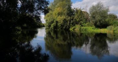 Yüksek kaliteli video 6k 4: 2: 2 10bit küçültme 4k. Ormandaki doğal nehir akıntısı. Vahşi doğanın güzel manzaraları, inanılmaz sulu yeşil renkli orman manzaraları.