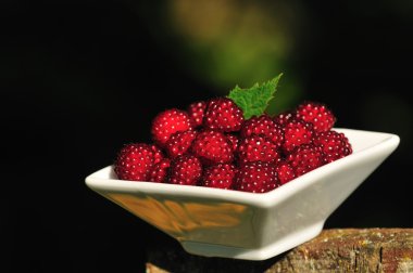 Japon wineberry