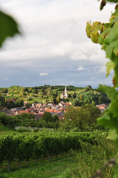 Almanya 'da Bahlingen am Kaiserstuhl köyü, Avrupa' da Tepede Kilise