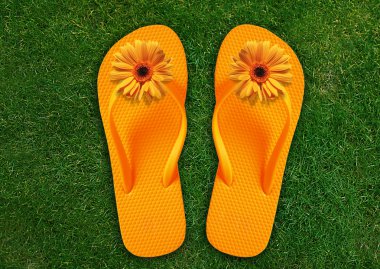 renkli flip flop