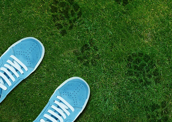 Blue Shoe print on green grassland — Stock Photo, Image