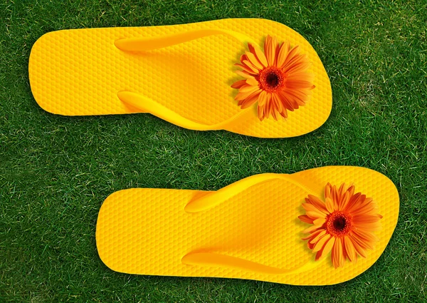 Kleurrijke flip-flops — Stockfoto