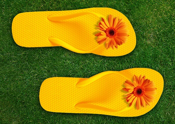 renkli flip flop