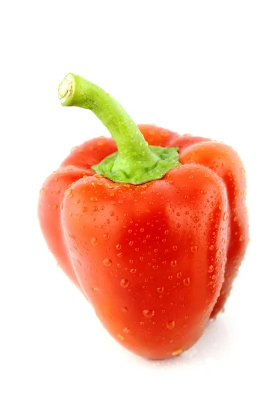 Roter Paprika — Stockfoto