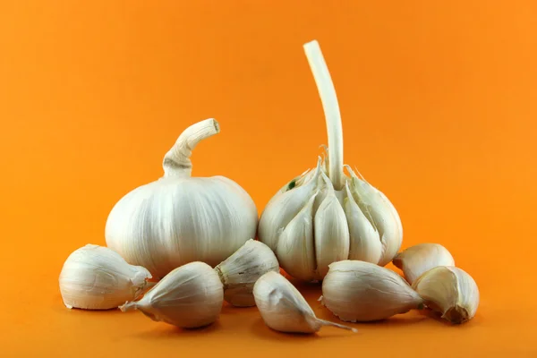 Garlic — Stock Photo, Image