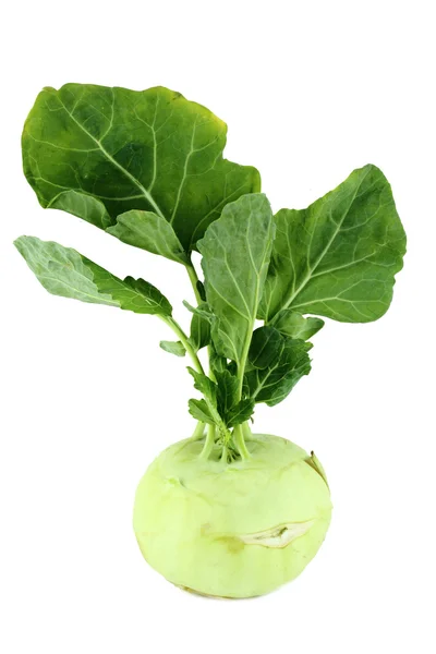 Cabbage kohlrabi — Stock Photo, Image