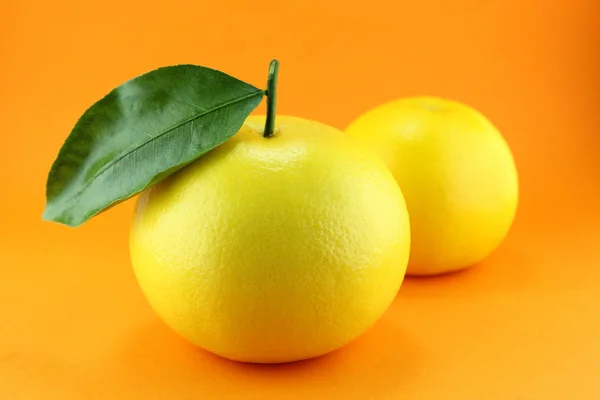 Grapefruit — Stock Photo, Image