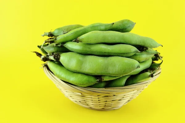 Broad bean pods and beans — Stock Photo, Image