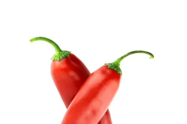 Red hot chili — Stock Photo, Image