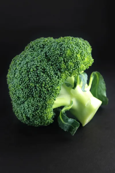 Frischer Brokkoli — Stockfoto
