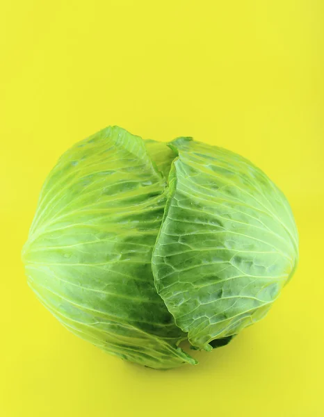 Fresh green cabbage — Stock Photo, Image