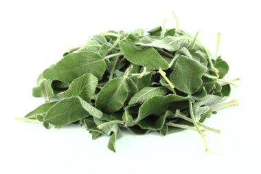 taze adaçayı yaprağı