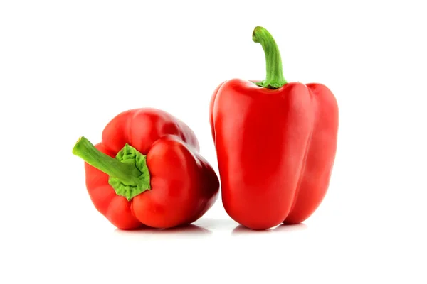 Roter Paprika — Stockfoto