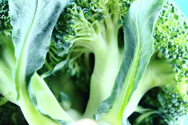 Fresh broccoli — Stock Photo, Image