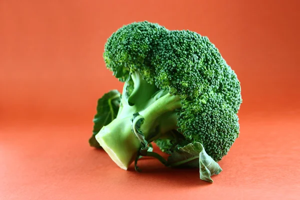 Verse broccoli — Stockfoto