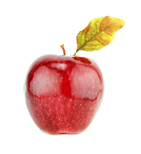 Fresh red apple — Stock Photo, Image