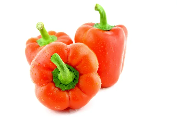 Červená sladká paprika — Stock fotografie