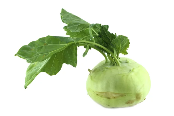 Col kohlrabi —  Fotos de Stock