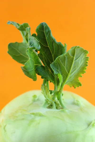 Cabbage kohlrabi — Stock Photo, Image