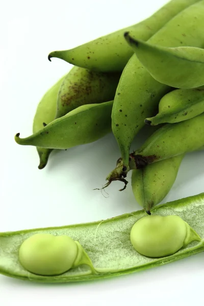 Broad bean pods and beans — Stock Photo, Image