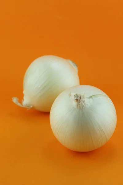 Ripe white onions — Stock Photo, Image