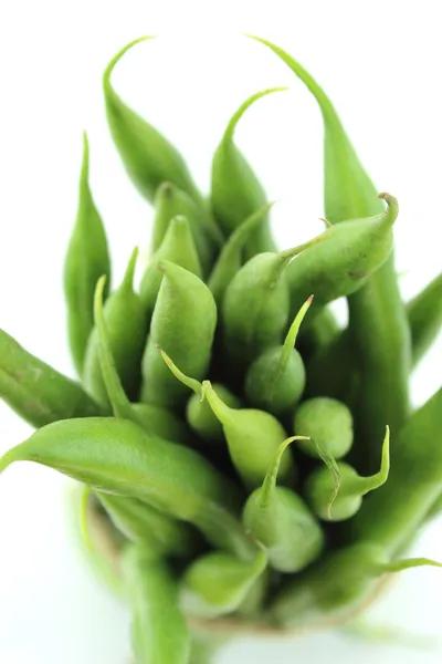 Fresh beans — Stock Photo, Image