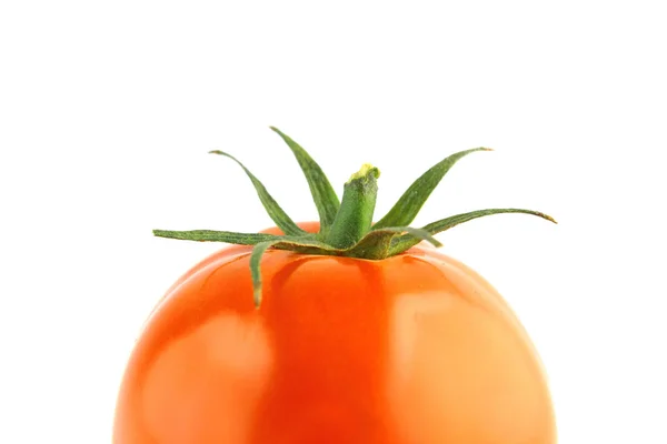 Frische Tomaten — Stockfoto