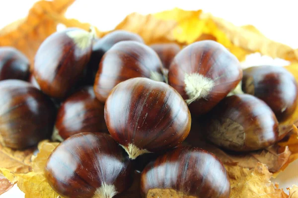 Castañas dulces — Foto de Stock