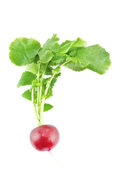 Red radish — Stock Photo, Image