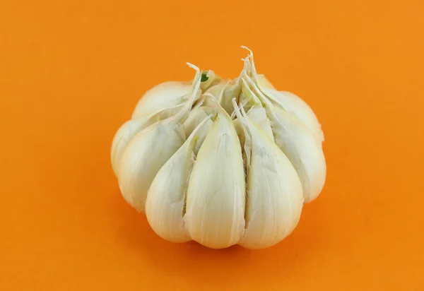 Garlic — Stock Photo, Image