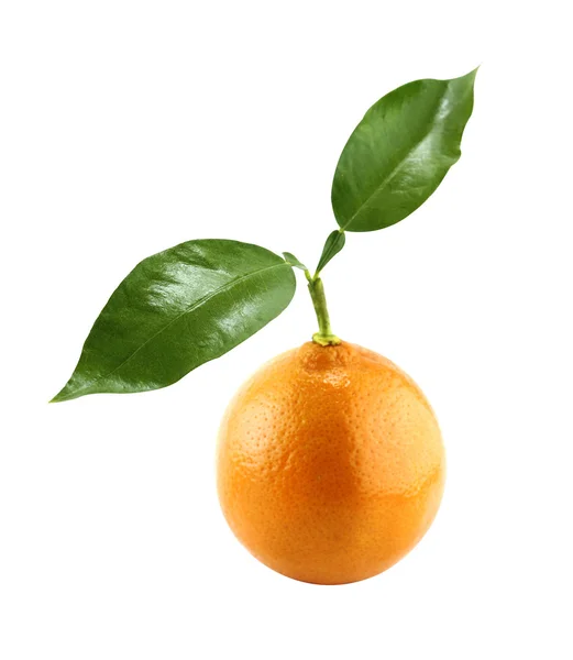 Orange Fruit — Stock Photo, Image