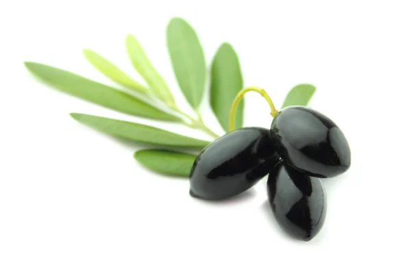 黑橄榄 — 图库照片