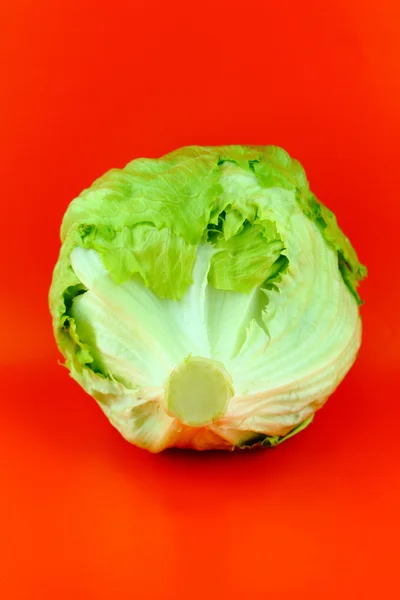 Green Iceberg lettuce — Stock Photo, Image