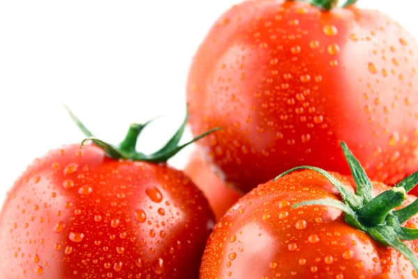 Verse tomaten — Stockfoto