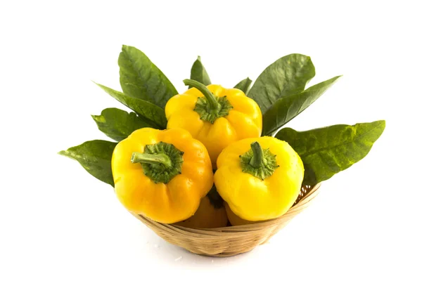 Žluté papriky — Stock fotografie