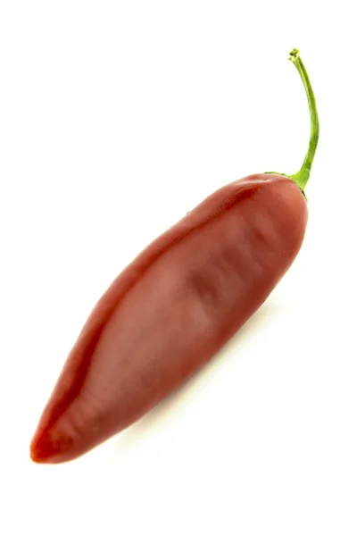 Red hot Chili — Stok fotoğraf