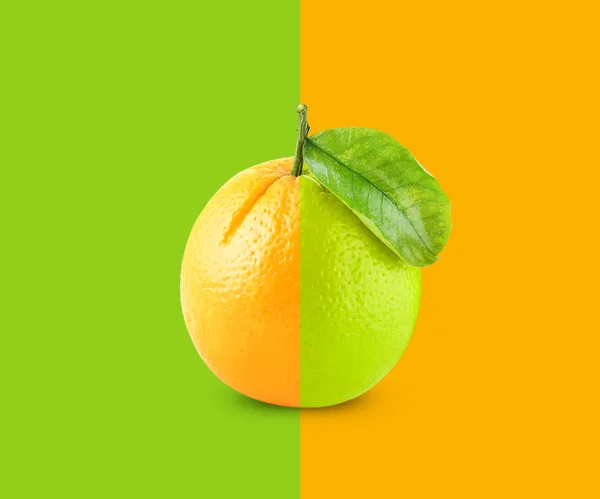 Orange — Stock Photo, Image