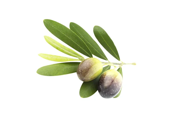 Olive nere — Foto Stock