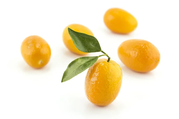 Süße kleine Orange — Stockfoto