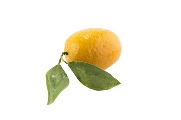 Naranja dulce pequeño — Foto de Stock